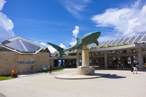 沖縄美ら海水族館(約2時間30分自由行動)
